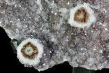 Beautiful Amethyst Cluster on Metal Stand - Uruguay #107770-5